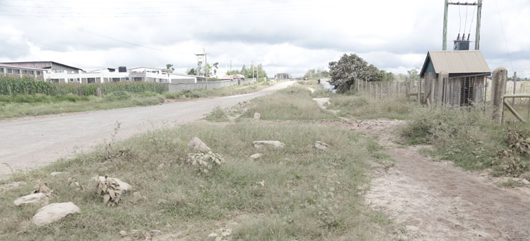 RongaiTuala