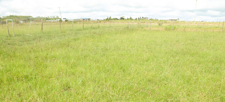 Ruiru-Murera