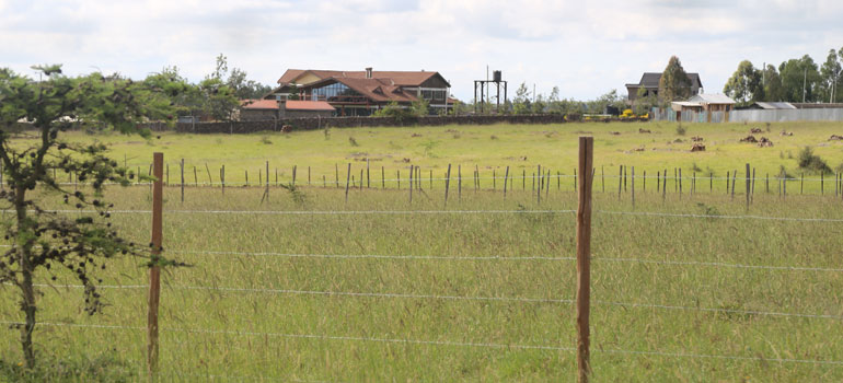 rongai
