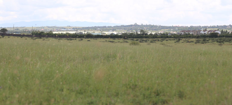 ruiru
